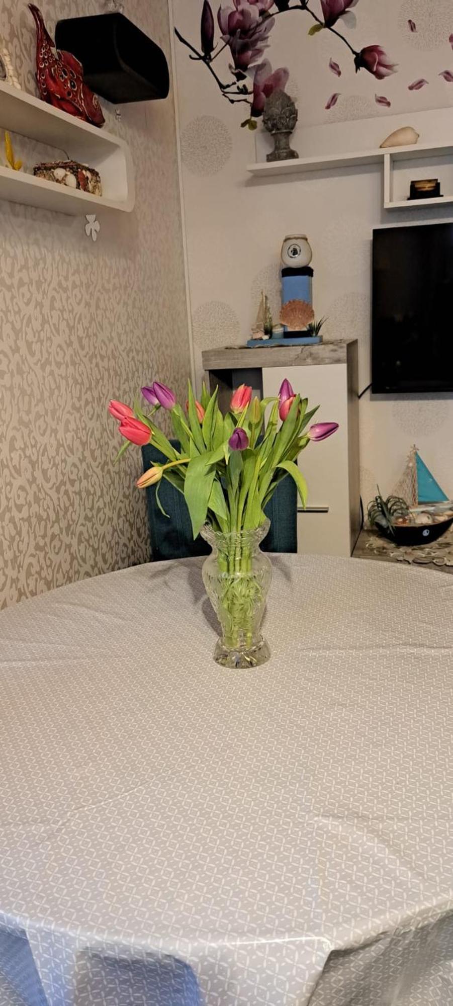 Fewo Seerose Zempin Εξωτερικό φωτογραφία